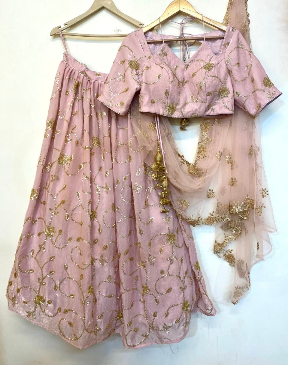 Pastel Pink Embroidered Organza Lehenga Set with Net Dupatta - Plus size Available