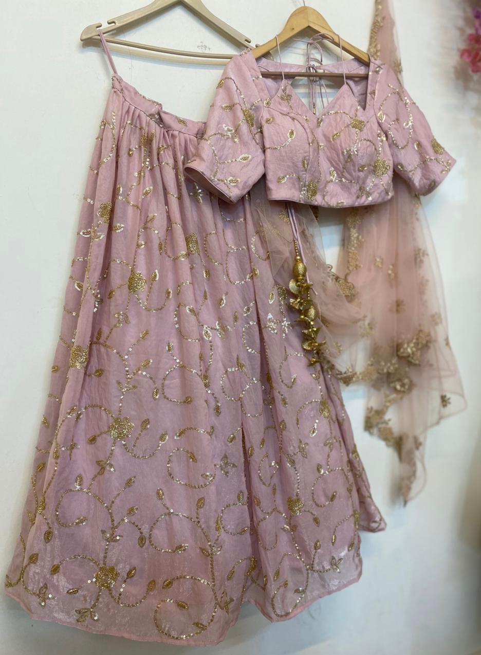 Pastel Pink Embroidered Organza Lehenga Set with Net Dupatta - Plus size Available