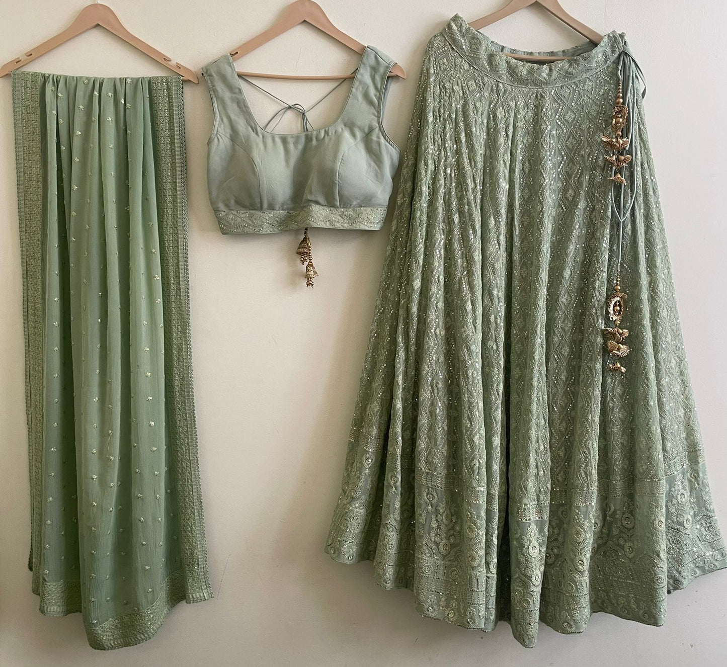 The Pistachio Chikankari Lehenga Set