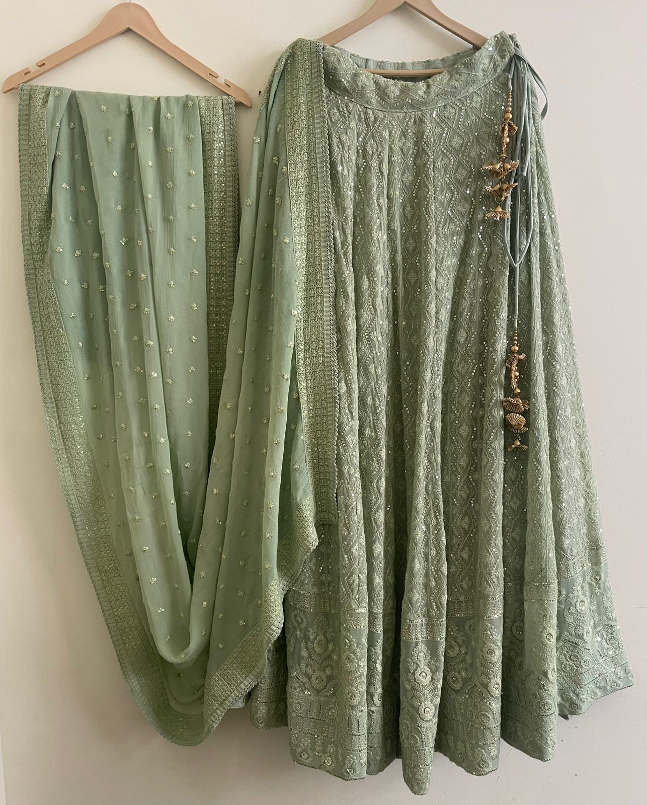 The Pistachio Chikankari Lehenga Set